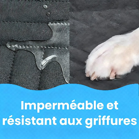 protection voiture chien resistante aux griffures