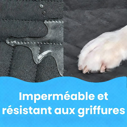 protection voiture chien resistante aux griffures