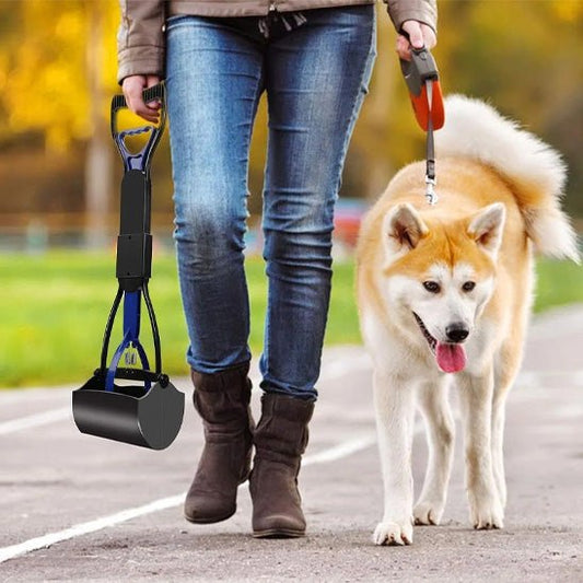 Ramasse crotte pour chien | Pince Dentelée - Les chiens beaux