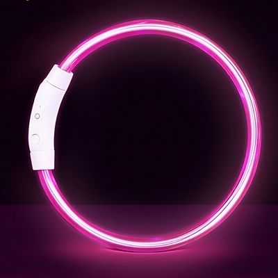 COLLIER LUMINEUX CHIEN | LUMINITE™