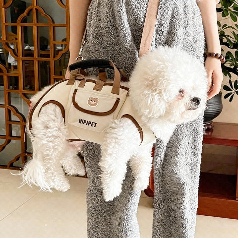 sac a dos pour chien avec transport confortable