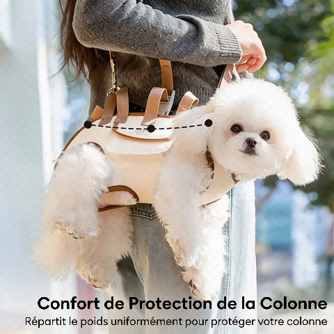 sac a dos pour chien confort de protection de la colonne