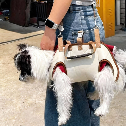 sac a dos pour chien rassurant votre chien