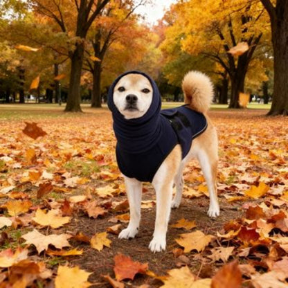 shiba inu qui porte le manteau pour chien gilet bleu marine