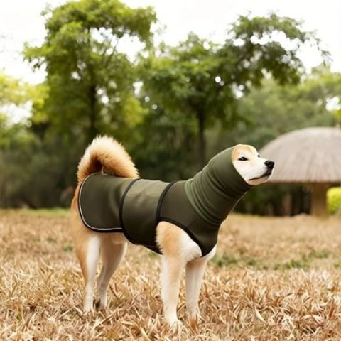 shiba inu qui porte le manteau pour chien gilet vert tres durable