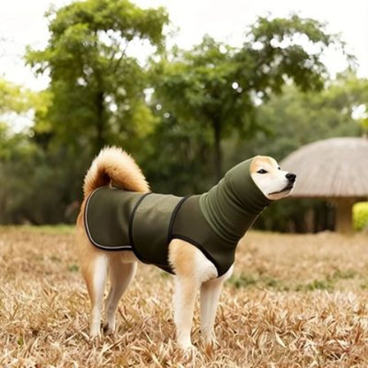 shiba inu qui porte le manteau pour chien gilet vert tres durable