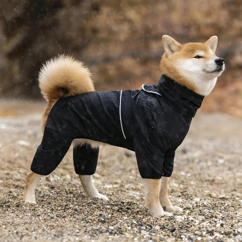 shiba inu qui porte le manteau pour chien pawtectpro noir pratique