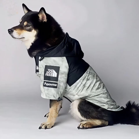 shiba inu qui porte le manteau pour chien the dog face gris chic