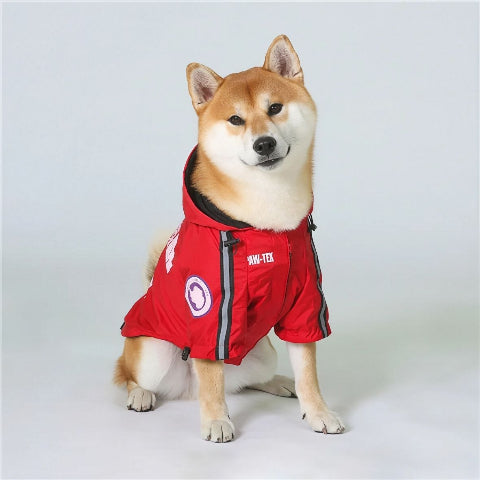 shiba inu qui porte le manteau pour chien the dog face rouge elegant