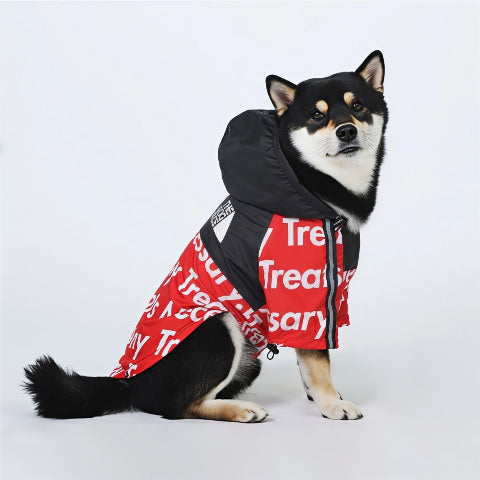shiba inu qui porte le manteau pour chien the dog face rouge noir magique