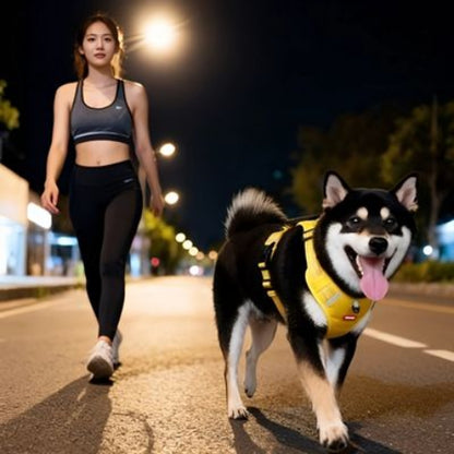 shiba inu qui se promene en portant le harnais chien laisse anti traction jaune chic