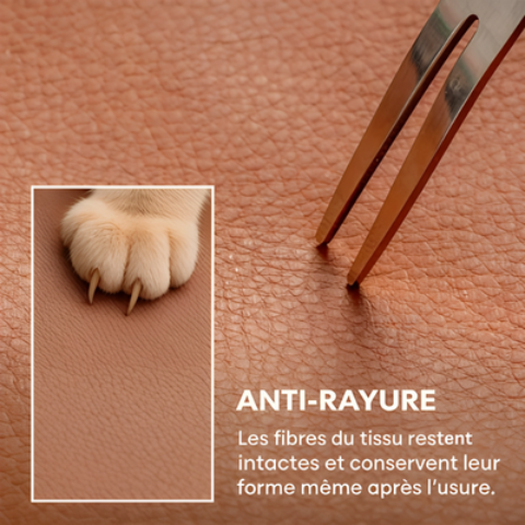 siege auto chien anti rayures