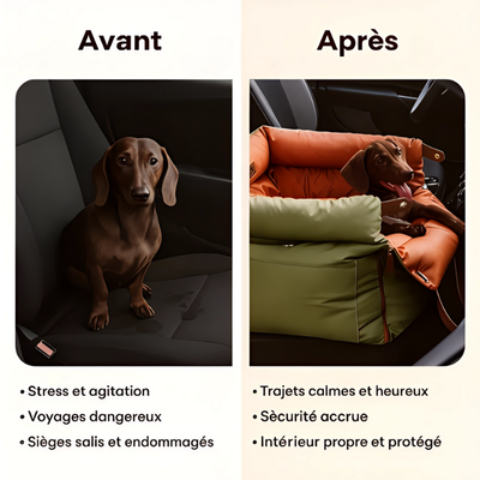 siege auto chien tres securitaire