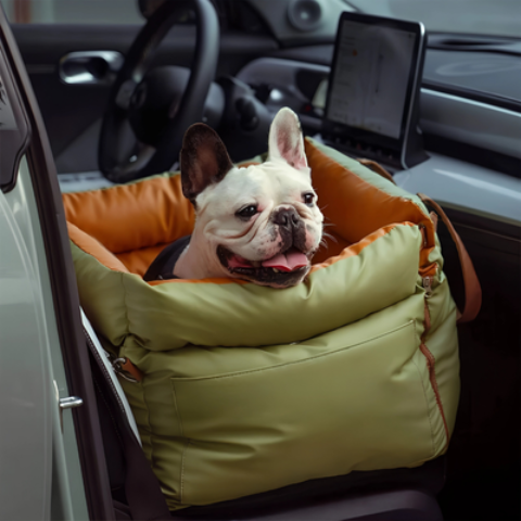 siege auto chien vert joli