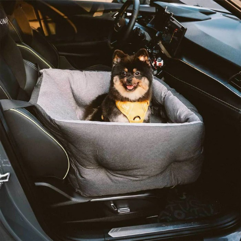 siege auto pour chien avec rebords sureleves