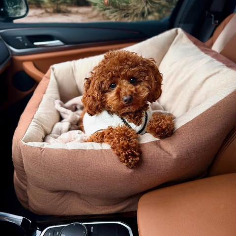 siege auto pour chien avec structure stable