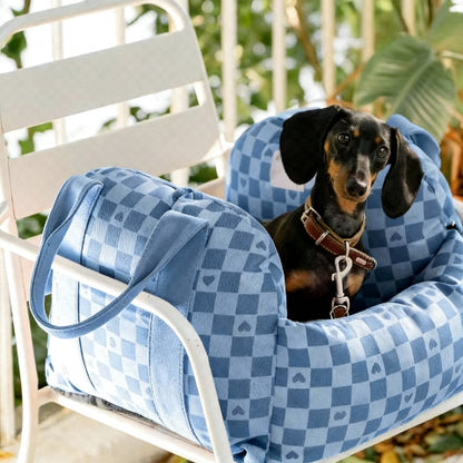 siege auto pour chien bleu