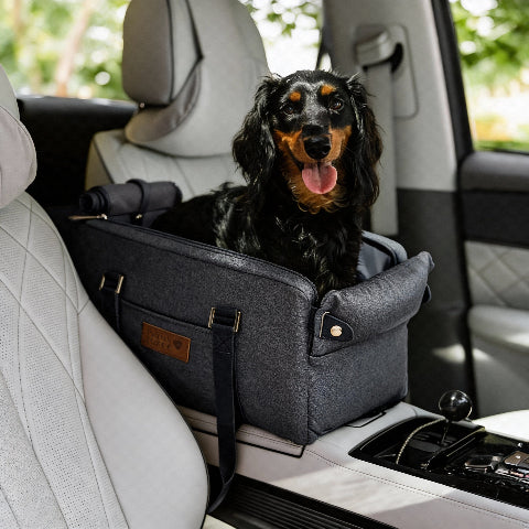 siege auto pour chien cocon rassurant