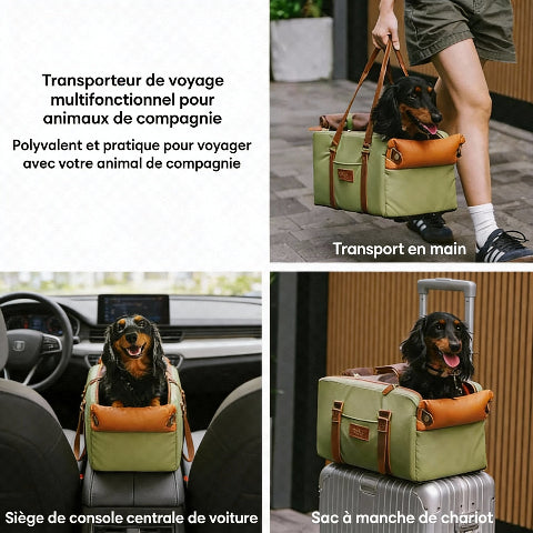 siege auto pour chien compatible dans tous les types de voiture