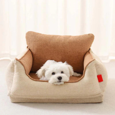 siege auto pour chien confortablement installe