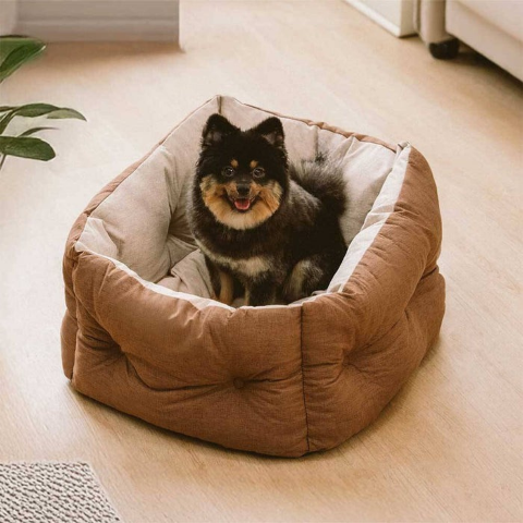 siege auto pour chien offrant un confort absolu