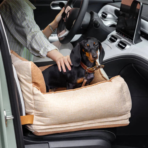 siege auto pour chien protection complete