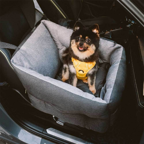 siege auto pour chien revolutionnaire