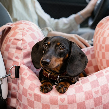 siege auto pour chien rose securitaire