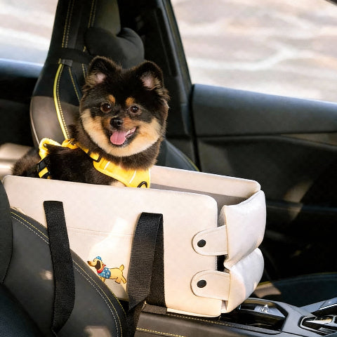 siege auto pour chien securite voyage