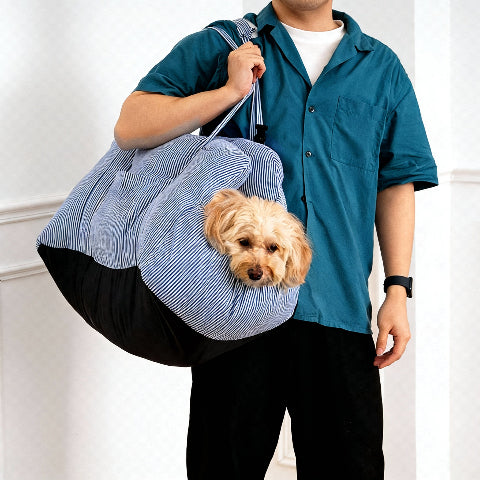 siege auto pour chien solide