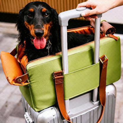 siege auto pour chien solution tout en un