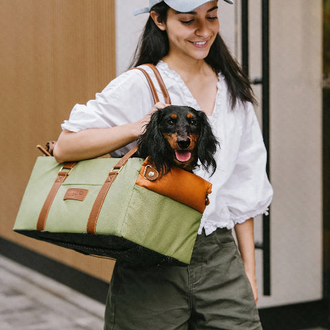 siege auto pour chien transport elegant