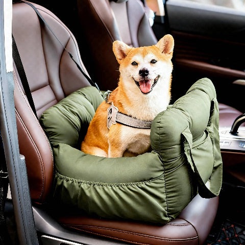 siege auto pour chien vert indispensable