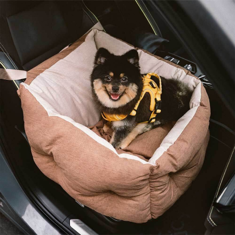 siege auto pour chien voyage en toute serenite