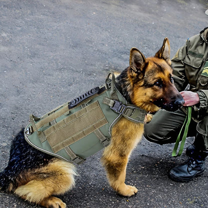 soldat qui ajuste le harnais tactique chien K9 pro que son berger allemand porte