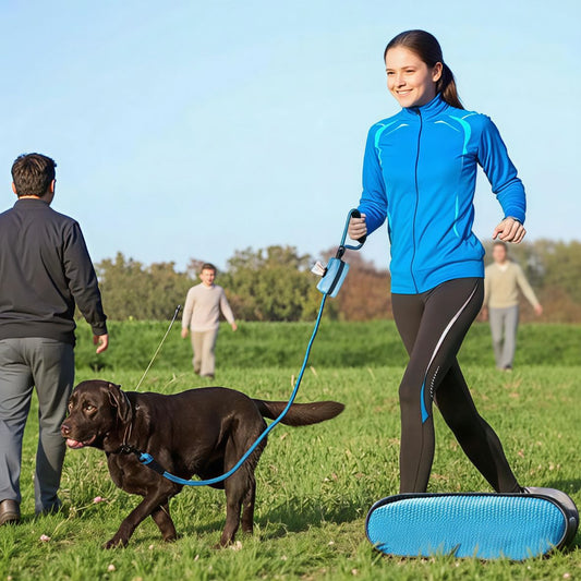 SUPPORT DE SACS A CROTTES DE CHIEN BIONICKEL MULTICOLORE | POOPJOY - Les chiens beaux