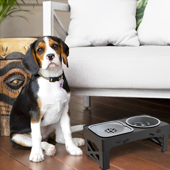 Support gamelle pour chien | Bols doubles pliables - Les chiens beaux