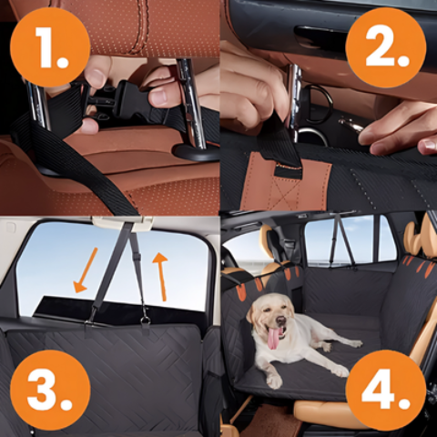 tapis pour chien guide d installation