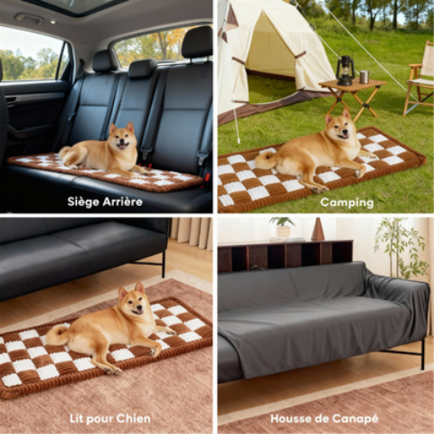 tapis pour chien passe partout