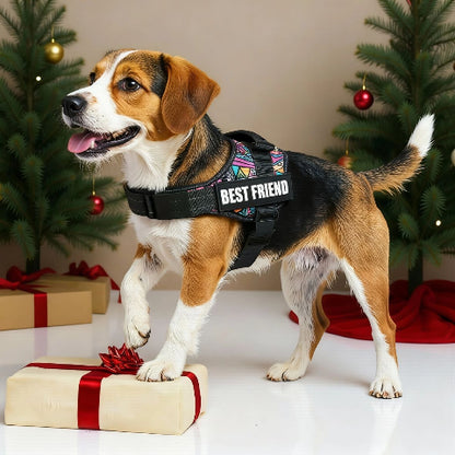 un beagle qui porte le harnais pour chien de service Servidog avec des belles couleurs