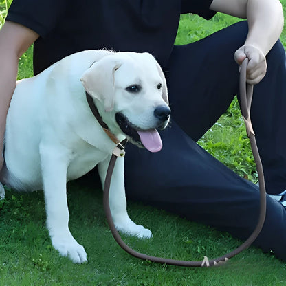 LAISSE POUR CHIEN | CORDE COULISSANTE EN PLOMB
