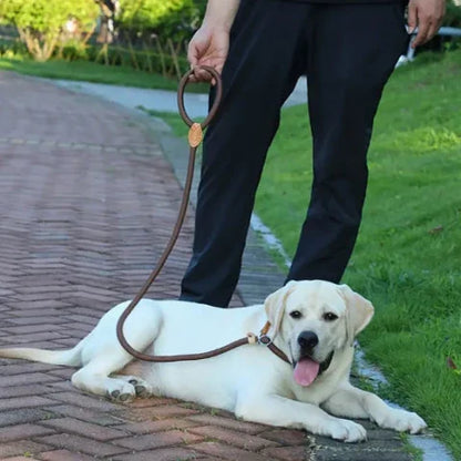 un homme qui se promene avec son labrador qui porte la laisse pour chien Corde coulissante en plomb qui offre un controle immediat