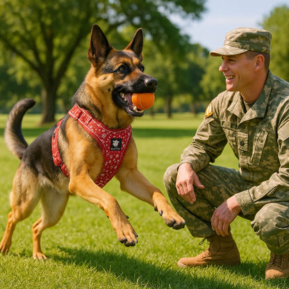 un militaire qui entraine un berger allemand qui porte le harnais chien Truelove