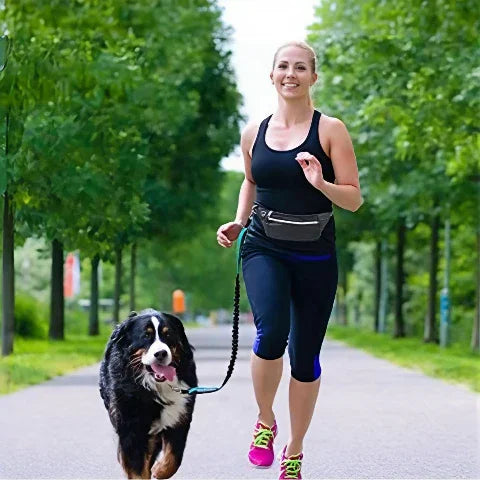 une femme qui fait du jogging avec border collie qui porte la laisse pour chien main libre