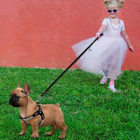 une jeune fille qui joue avec son bulldog qui porte le harnais pour chien en cuir suede souple SFP de haute qualite