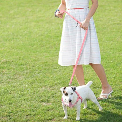 une jeune fille qui marche avec son chien portant le harnais pour chien en cuir suede souple SFP indispensable