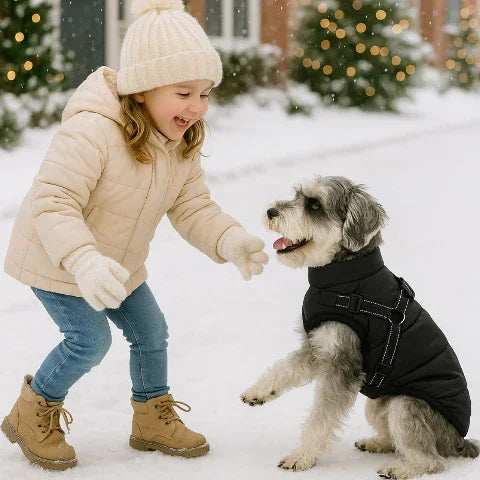 une jeune fille qui se joue avec son chiot qui porte le harnais chien hiver noir indispensable