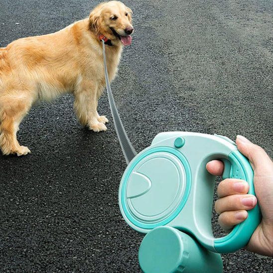 Une laisse de chien | Rétractable 3 en 1 - Les chiens beaux